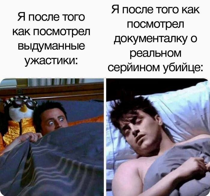      ...   , , ,  , Telegram (),  