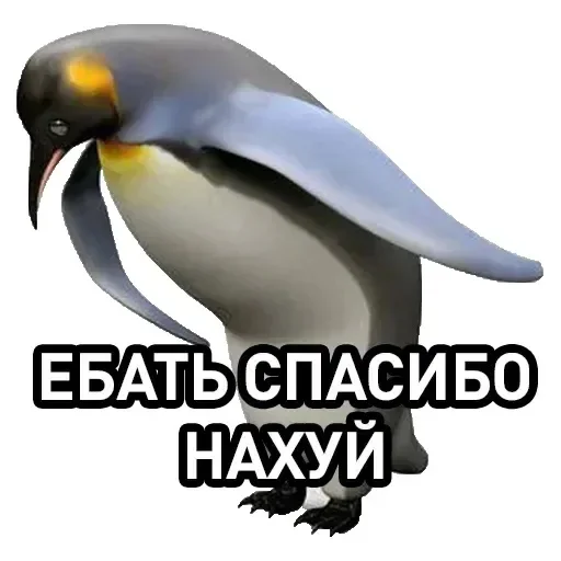 Ответ на пост «Я не говорю, что все такие, просто я других не встречал» - Моё, Жадность, Капитализм, Жалоба, Негатив, Волна постов, Обман, Ответ на пост