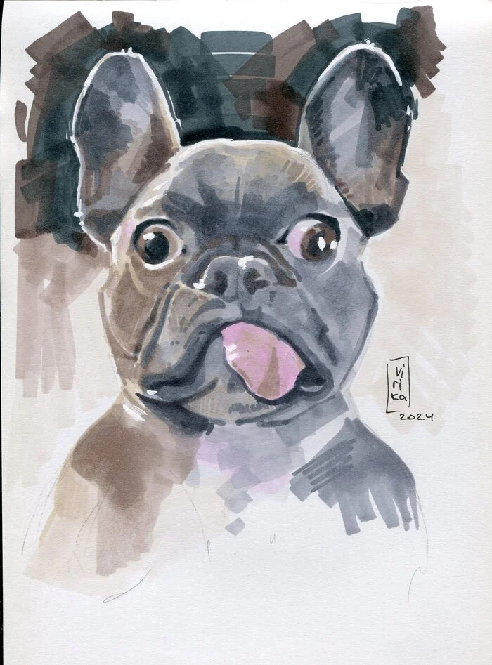 Sketches with markers - My, Painting, Traditional art, Flowers, Animalistics, French Bulldog, Mushrooms, Alcohol markers, Sketchbook, Sketch, Sketch, Longpost