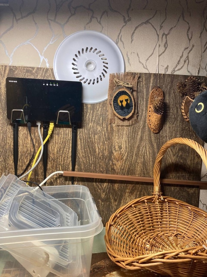 крышечка за роутером