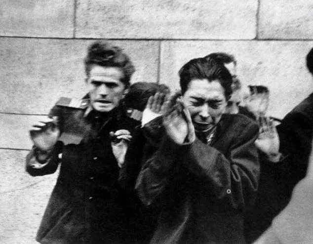 One of the most powerful and horrific images of the Hungarian Uprising is the execution of the defenders of the Budapest City Party Committee by the rebels. - Budapest, 1956, The photo