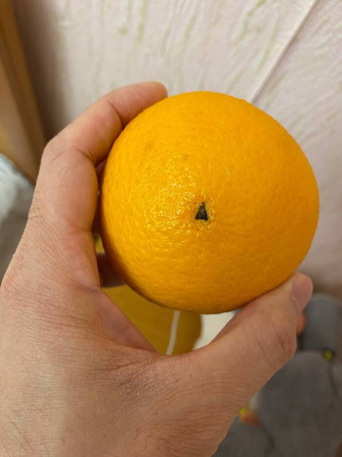 Таинственный треугольник на апельсине