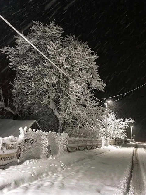 It just turned out beautifully - The photo, Night, Snow, Lamp