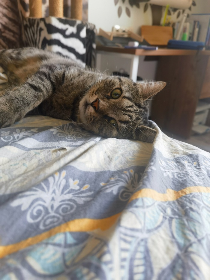 ������������� ����� �������� � ������� ����������