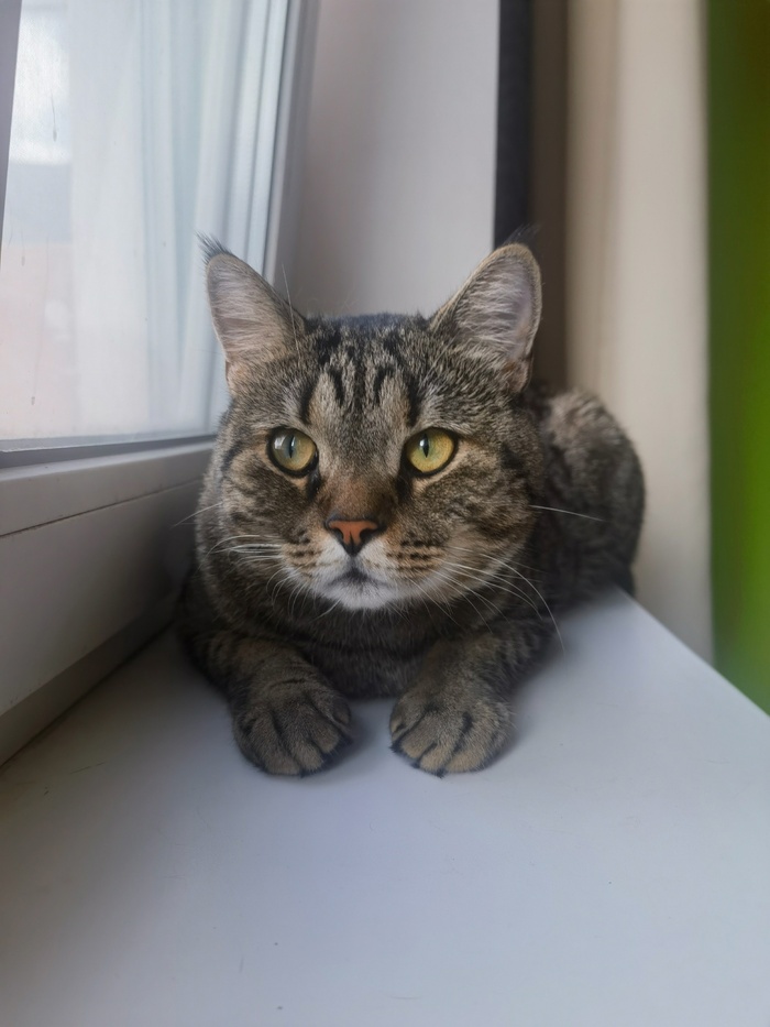 ������������� ����� �������� � ������� ����������