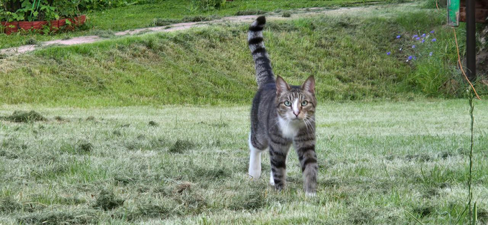 Ответ на пост «Конкурс...»