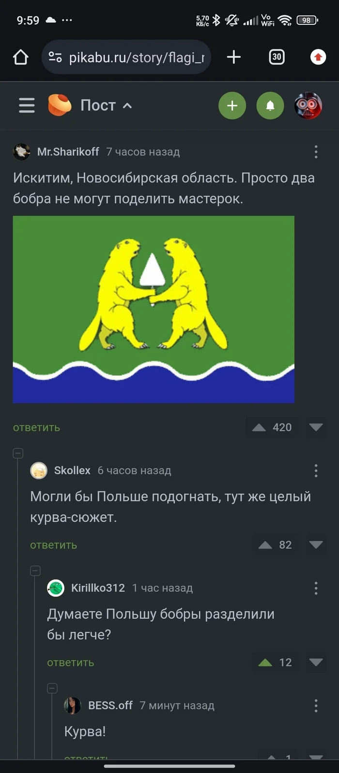 Ну че сразу Польша то - Комментарии на Пикабу, Юмор, Польша, Искитим, Флаг, Длиннопост, Скриншот