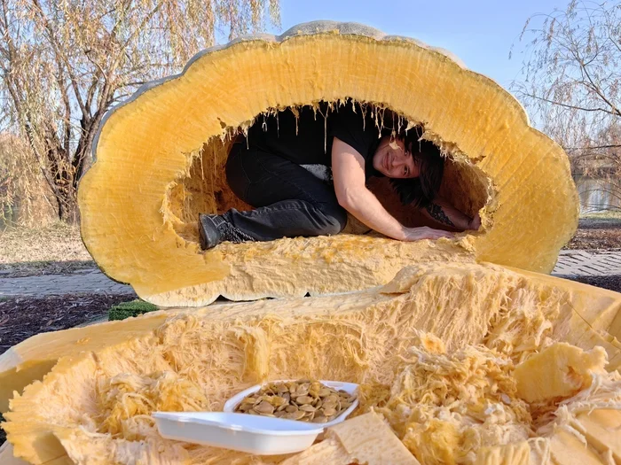 Climbed into a pumpkin - My, Garden, Plants, Gardening, Vegetables, Garden, Pumpkin, Giant pumpkin, The photo