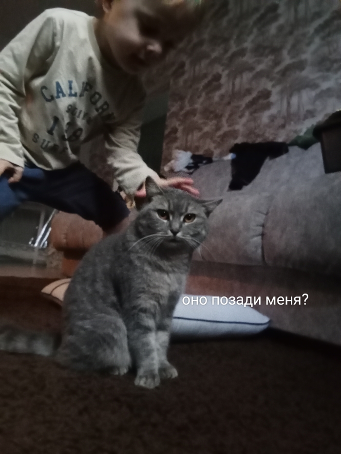  ... , , 