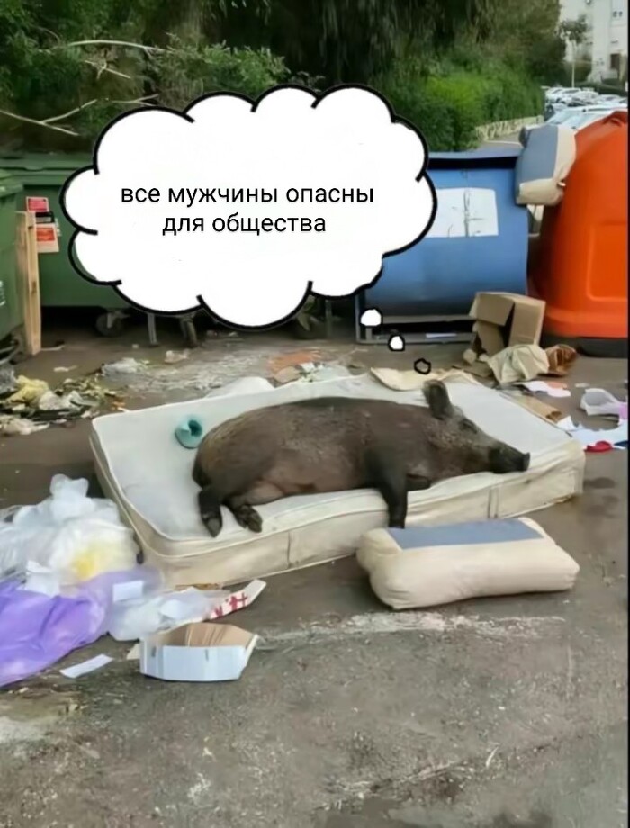  -    , , ,   