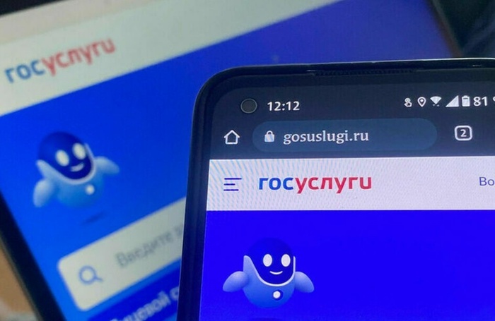 Как мошенники взламывают "Госуслуги" и почему осторожность - лучший антивирус