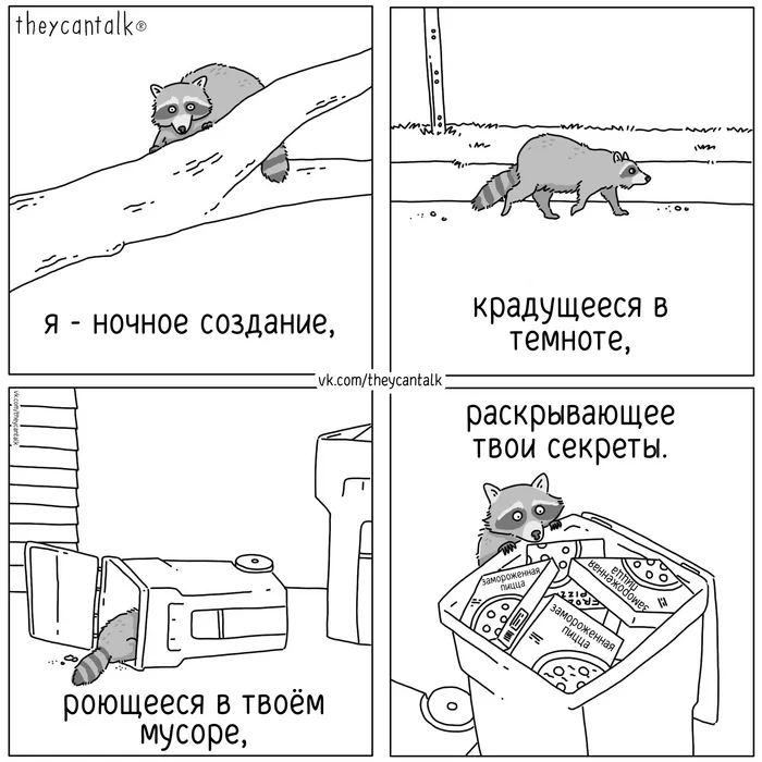 Night creature - My, Theycantalk, Translated by myself, Comics, Raccoon, Garbage, Secret