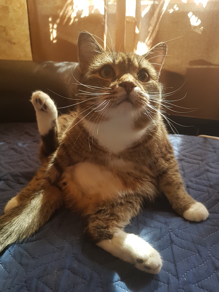 ���� ����!