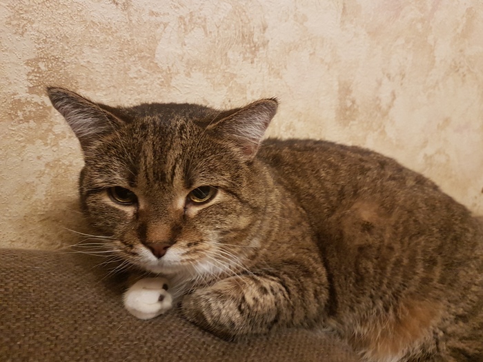 ���� ��� 12 ��� � �� ������ ���������� � ���������