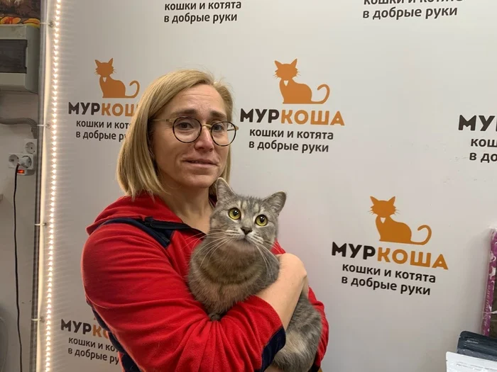 We are glad to share our successes with you. - My, Murkosh shelter, Animal shelter, No rating, cat, Touching, Found a home, Positive, Vertical video, Video VK, Video, Longpost