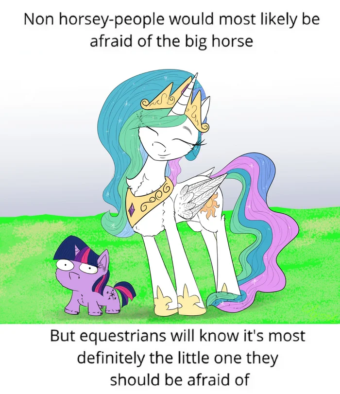 People who are not familiar with horses are likely to be scared of a big horse. - My little pony, Twilight sparkle, Princess celestia, Ponification, Squatpony