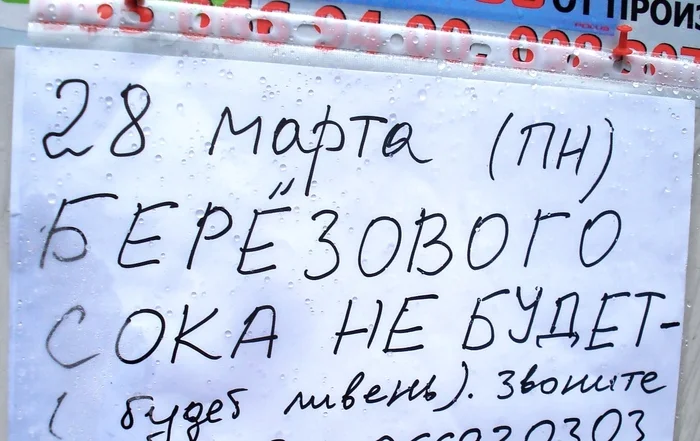 И родина щедро поила меняБерёзовым соком, берёзовым соком... - Моё, Объявление, Березовый сок