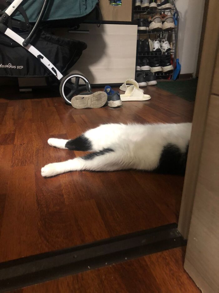     ? , , , 