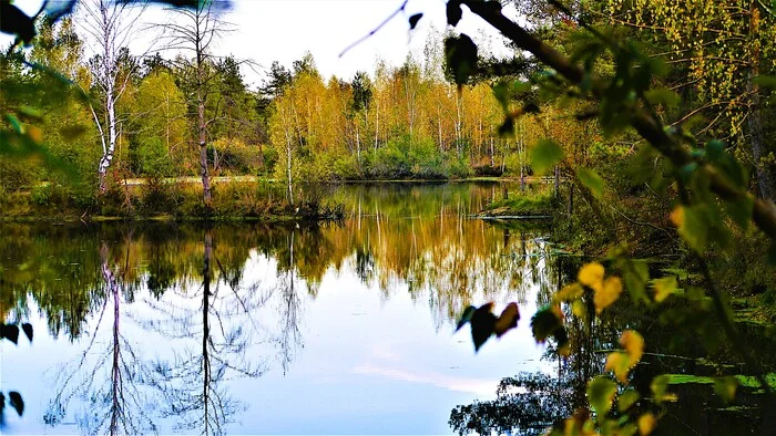 Autumn landscape - My, The photo, Walk, Landscape, Nature, Water, Autumn