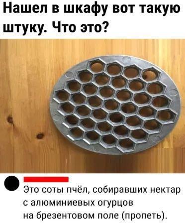 Have you ever used such a thing? If you know what it is and what it is for, of course! - My, Mood, Humor, Picture with text, Screenshot, Memories, Dumplings