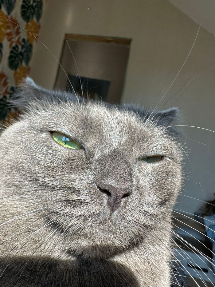     ? , ,  , , ,  