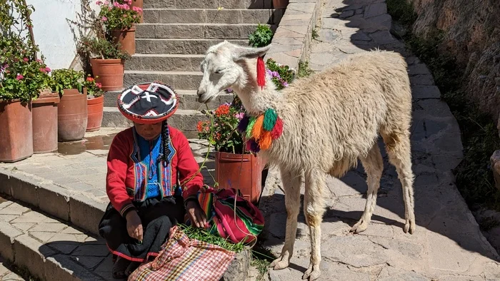 Road Trip Through Peru: Incas, Alpacas, and How We Ate a Guinea Pig. Part 1 - My, Travels, Peru, Machu Picchu, The Incas, Longpost