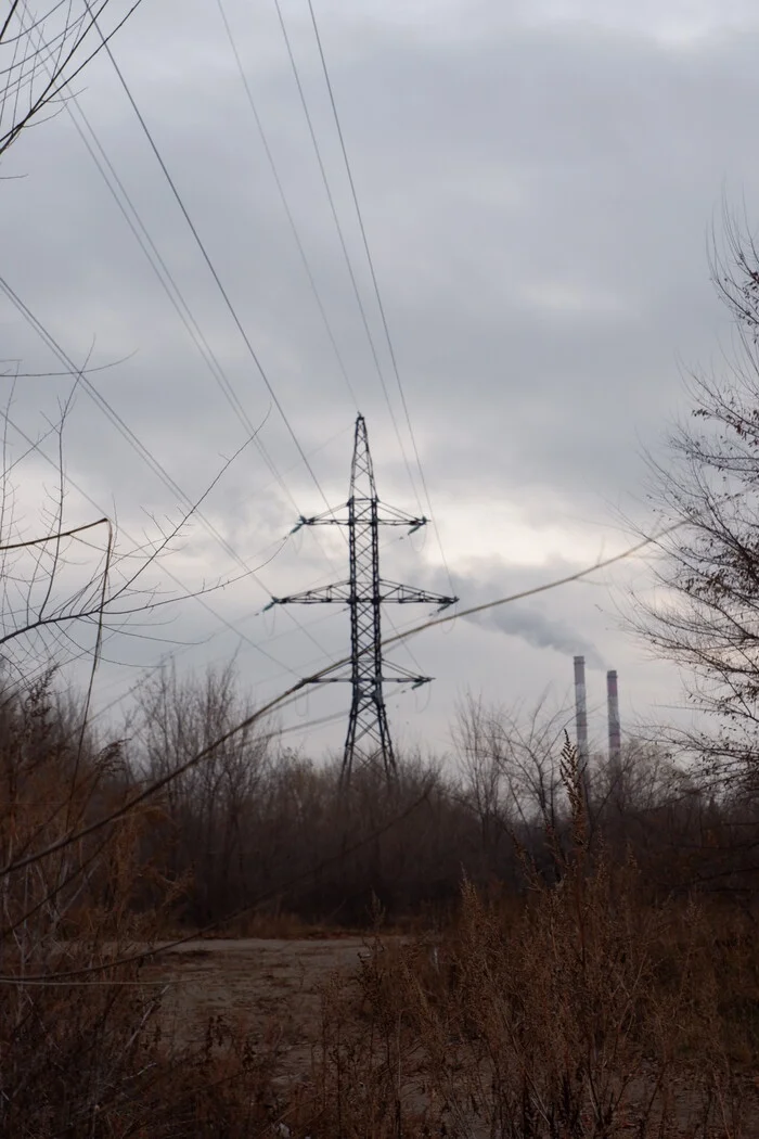 My first camera - My, Voronezh, Autumn, November, Reservoir, Fujifilm, The photo, Amateur photography, Longpost