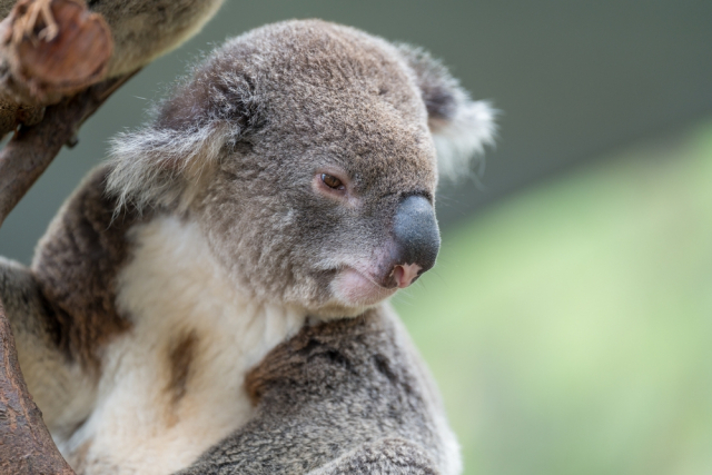 ������ ����������� ����� ������������� ���� �� �� ����� � ������� ��