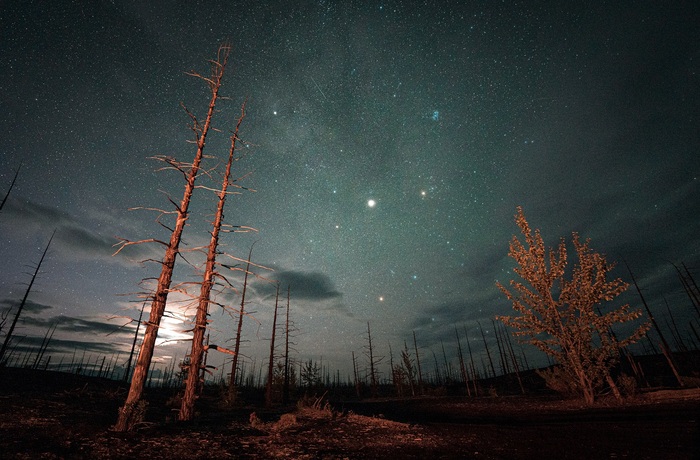 ������� ���, ������������ ���.