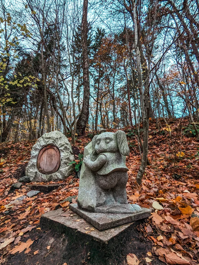 Лесное существо - Моё, Фотография, Калининградская область, Море, Странный юмор, Лес, Кот, Плохая погода, Длиннопост, Природа России