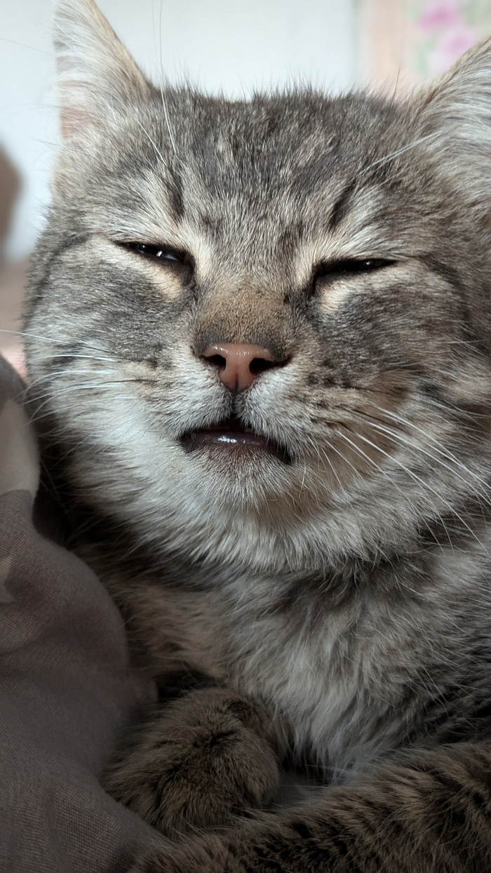 Когда проснулся в воскресенье в 6 утра