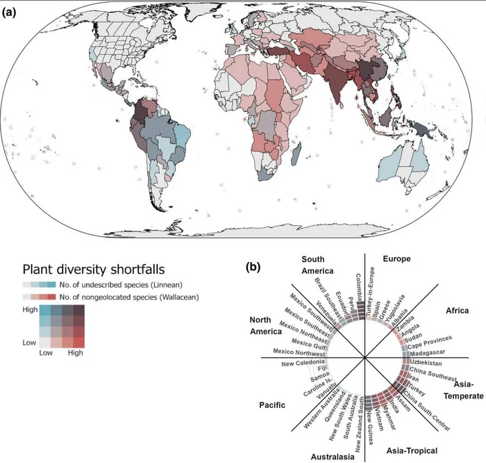 More than 100,000 plant species on the planet remain undescribed. A significant proportion of these species are threatened with extinction. - My, Plants, View, Planet, Land, Bloom, Planet Earth, Scientists, The science, Botany