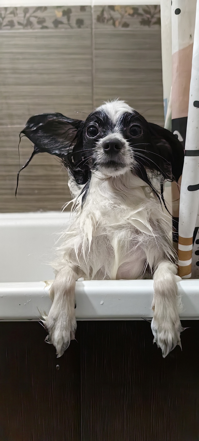 ����� �� ���� ����������� ������ 