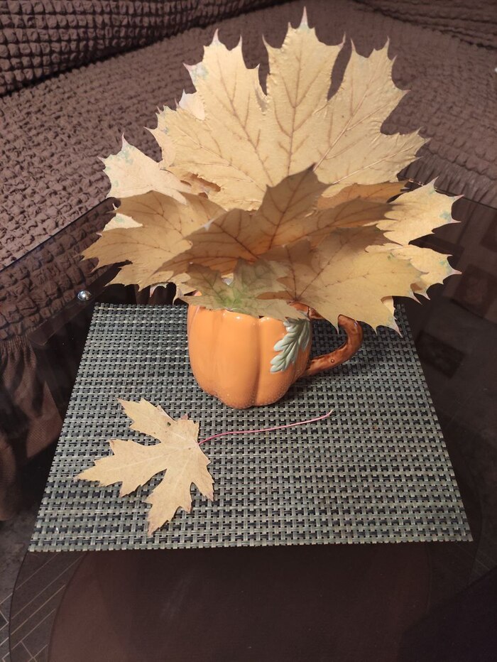 Осень тоже бывает красивой!