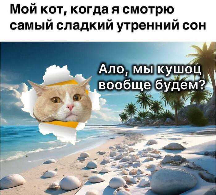   ,    !