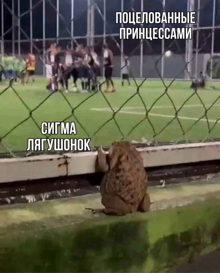    ? ,   , , , -