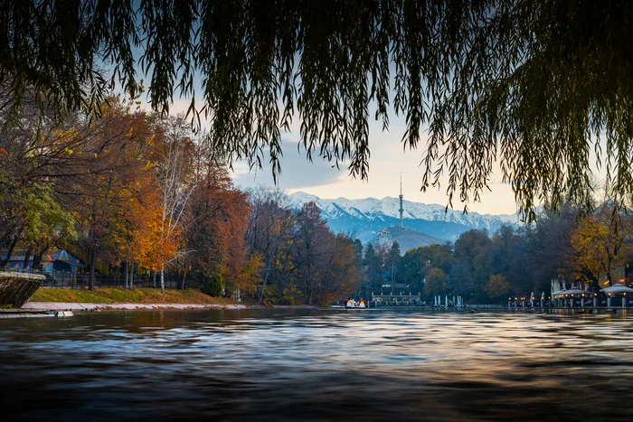 Autumn in Almaty - My, The photo, Kazakhstan, Almaty, Longpost, Autumn