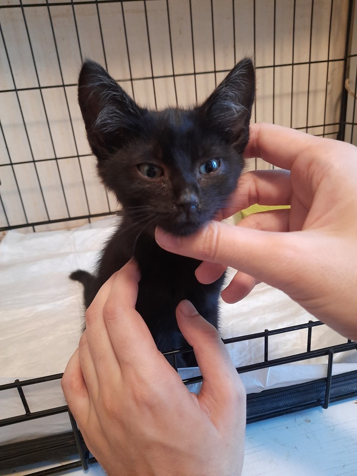 ����� � ���������, ��� � ��� ��������� � ���