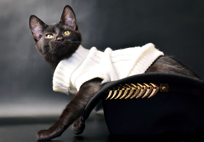 ��������������� ��� ��� ������������, �� ����� �� ���� ��� � �� �����, ������ �������� �� �������������� �����