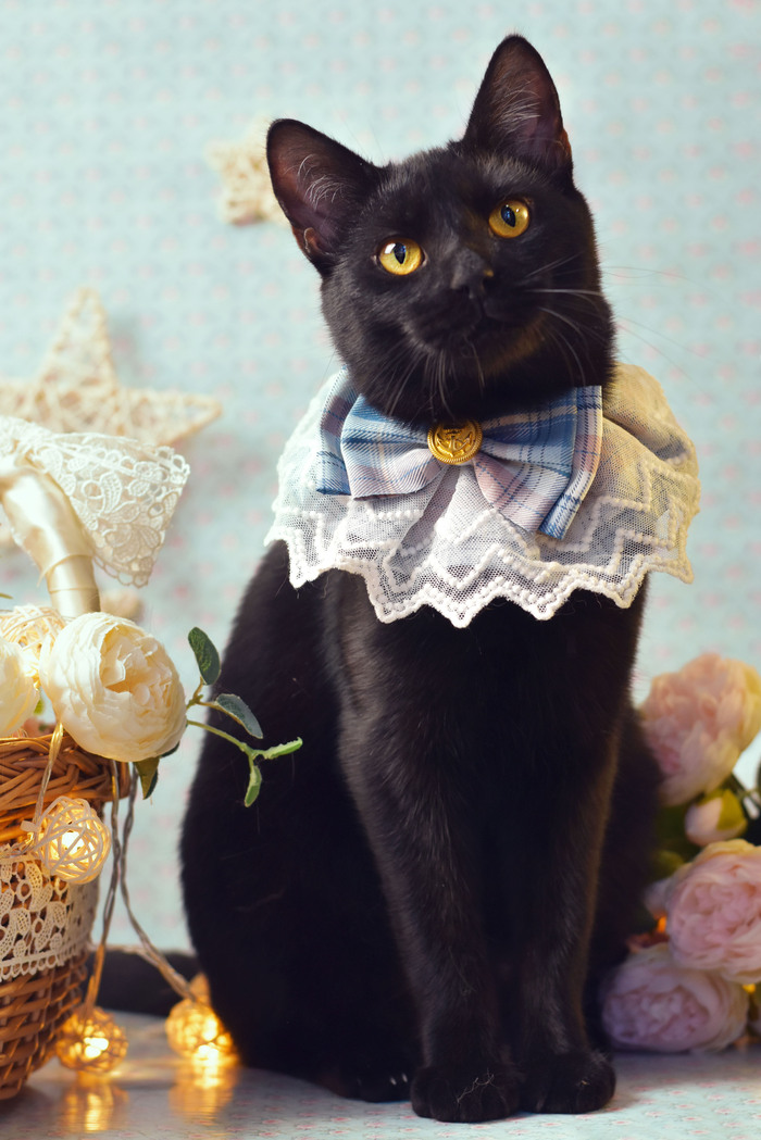 � ����� ������ � ��������� ��������, � � ��� � ���� ������� ����� ��� ����� ���������� ������)