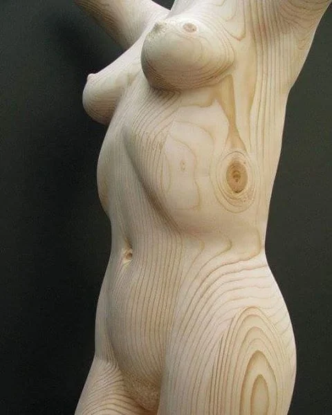 We were not told something about Papa Carlo... - NSFW, Humor, Papa Carlo, Wood sculpture, 18+