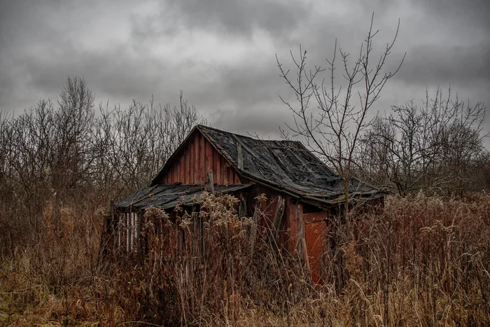 Everything seems fine on the surface, but in my soul: - My, The photo, Landscape, Devastation, Abandoned