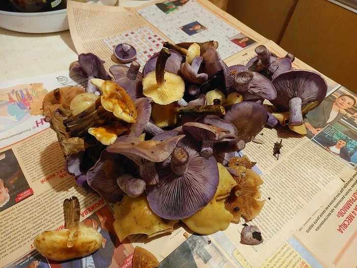 ��� �� ������� ������� ������ � �����.