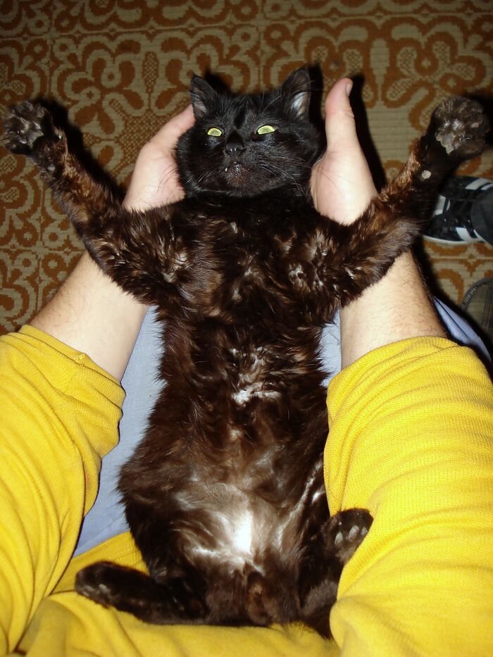 Вот таких вам рыбов в сладкие сны!