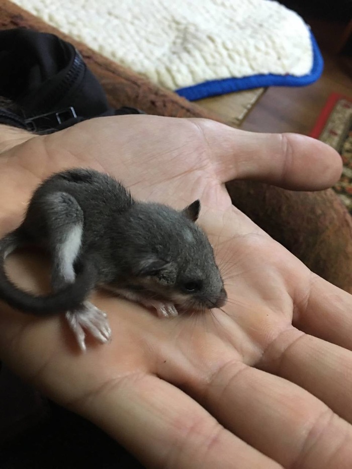 Пару минут после спасения