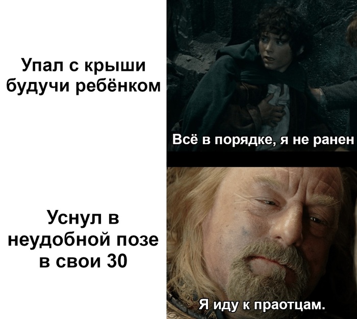 Vital - Lord of the Rings, Theoden Rohansky, Vital, Old age, Picture with text, Translated by myself, VKontakte (link)