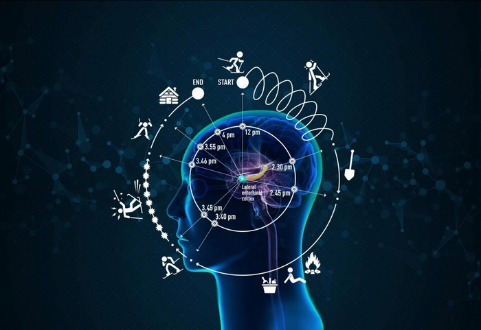 How the Brain Perceives Time - My, The science, Scientists, Research, Hypothesis, Brain, Sciencepro, Nauchpop, Time