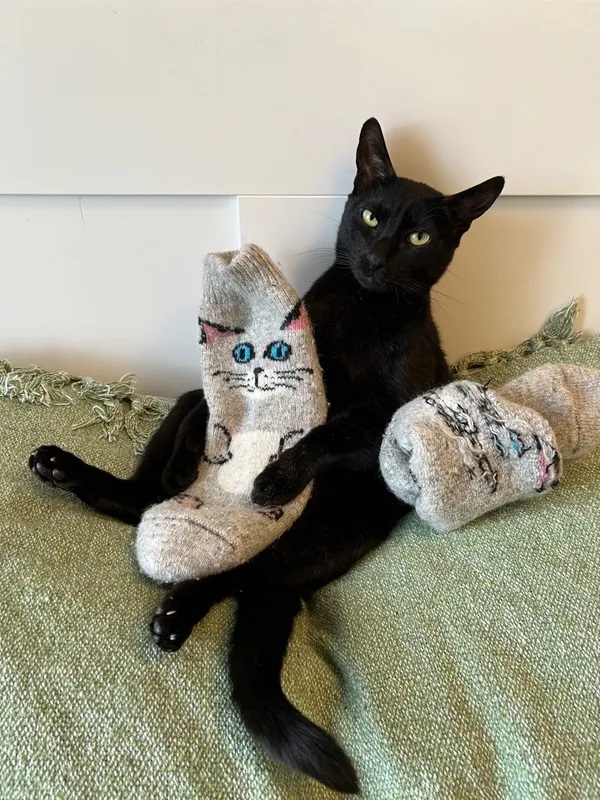 Socks and a cat - Ozon, cat, Online shopping