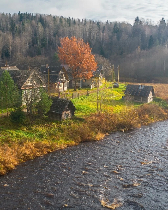 Golden autumn in the village, Leningrad region - Leningrad region, The photo, Autumn, Village