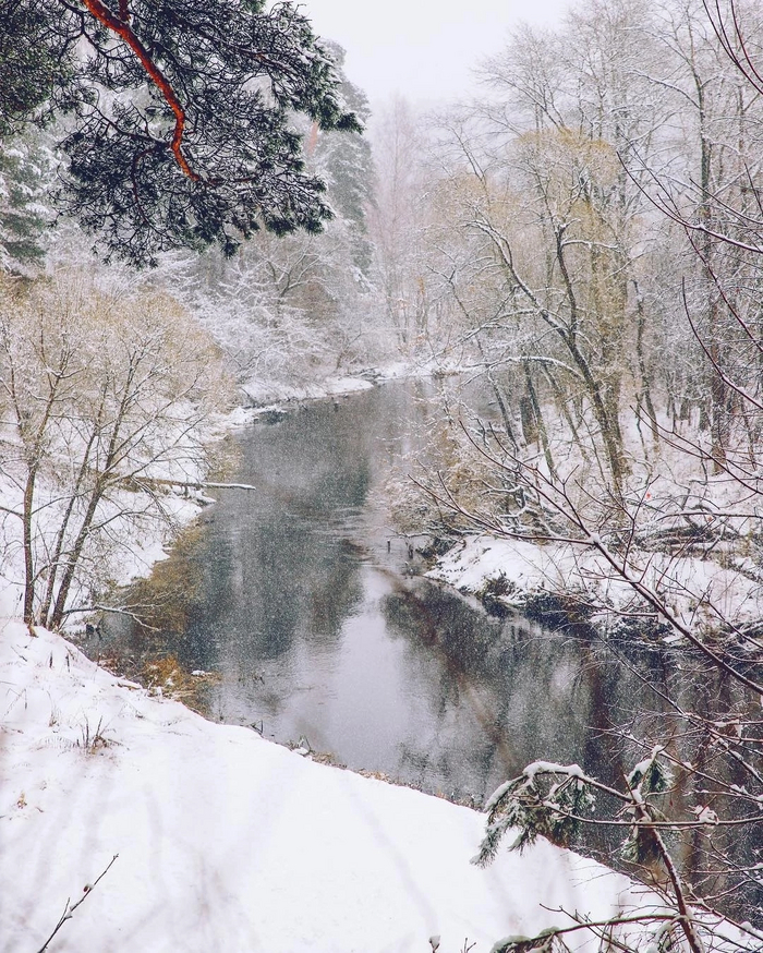 Yaroslavl region - Yaroslavskaya oblast, The photo, Nature, The nature of Russia, beauty, Snow, Autumn